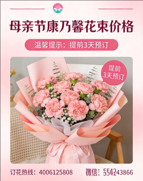 包头九原区花店母亲节康乃馨花束