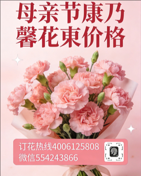 包头九原区花店母亲节康乃馨花束